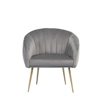 Luxury Velvet Accent Chair with Gold Legs grey